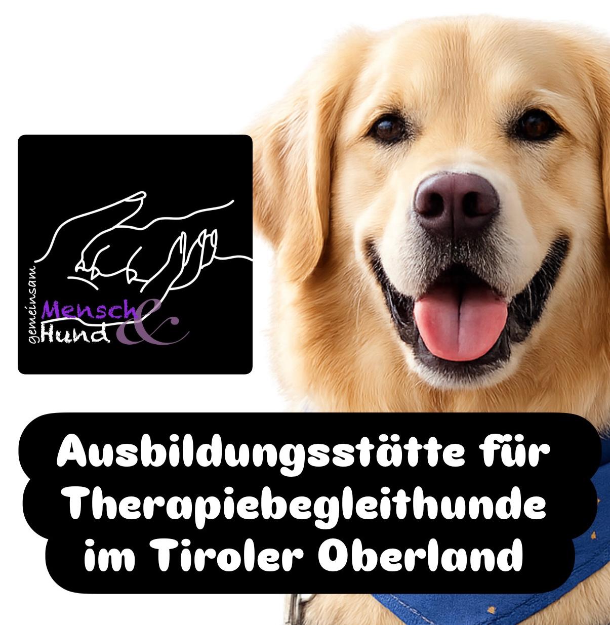 Mensch-Hund-Team in einer ruhigen Trainingssituation